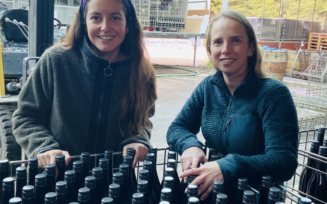 Premiär för Ceniciento & Les Espias Field Blend i TSE